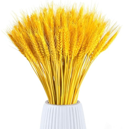 100 PCS Steli Spighe di Grano Naturali Fiori Secchi per Decorazione Fiori Artificiali 45 cm Fiori di Grano Essiccati Adatto per la Decorazione del Caminetto, Della Tavola e Altro Ancora