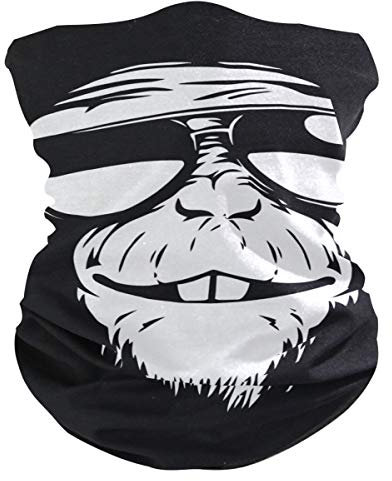hengpai Neck Gaiter Man Neck Mask Sturmhaube Gesichtsmaske Bandana Affe Brille