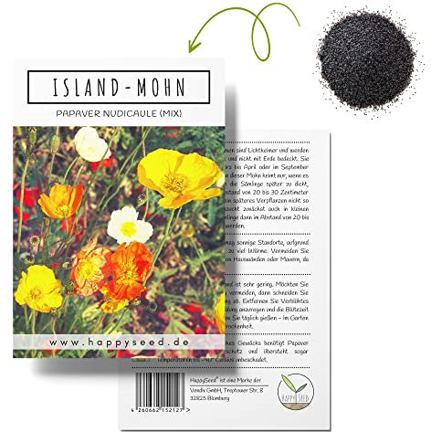Islandmohn Samen Mix (Papaver nudicaule) - Wunderschön blühende Mohnblumen mit langer Blütezeit für eine bunte Blumenwiese (Island Mohn)