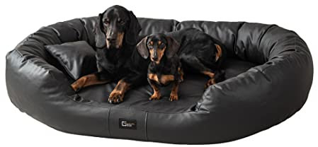 exclusive BED Orthopädisches Hundebett Nancy Premium Grosse Mittelgroße Kleine Hunde - Hundekissen Hundematte aus Öko-Leder - rutschfest Langlebig Abriebfest Reißfest (XXL, Schwarz)