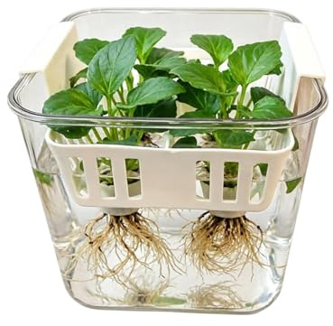 Hydroponiska korgar Enkel blomsterodling