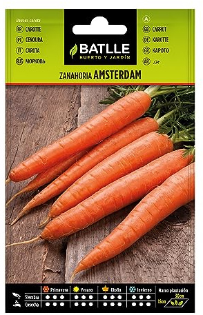 Semillas Batlle Zanahoria Amsterdam