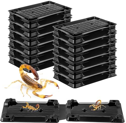 Qualirey Confezione da 12 trappole adesive per scorpioni, per interni, per animali domestici e bambini, sicure per scorpioni, trappole per insetti da interni, per cantine, bagni e garage
