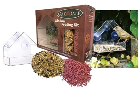 Oakdale Starter Pack - Window Wild Bird Feeding Kit
