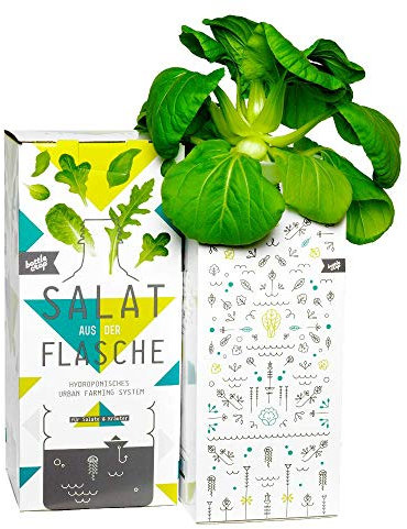 Bottlecrop - Salat aus der Flasche | Mini Pak Choi | Einzugsgeschenk | Anzuchtsystem | Urban Farming | Hydrokultur | Pflanzen ohne Erde | Kräuter Fensterbank | vertikaler Garten | nachhaltig