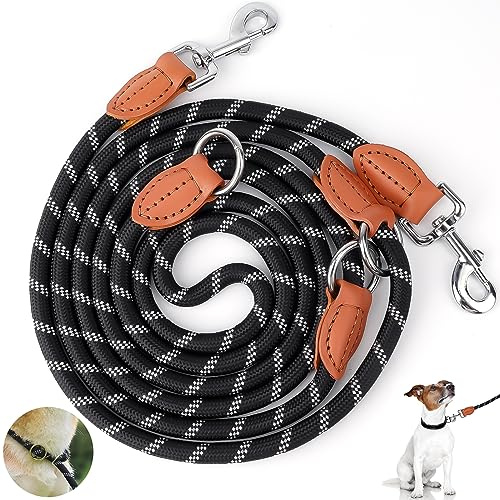 Ticeed Laisse Double pour 2 Chiens, 3m Réfléchissante, Multiposition 3 Points, Réglable pour Dressage