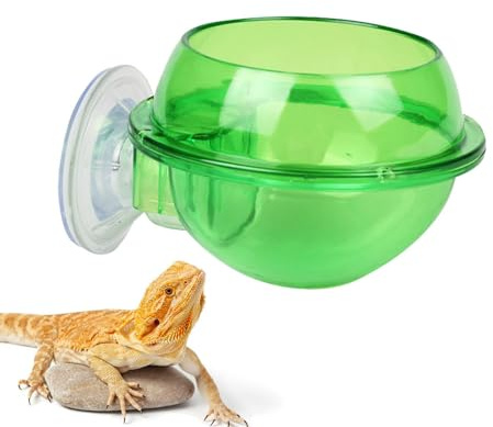 Distributeur de nourriture pour reptiles avec ventouse, distributeur de nourriture à ventouse pour reptiles, récipient de nourriture vivante anti-évasion translucide pour et de fuite