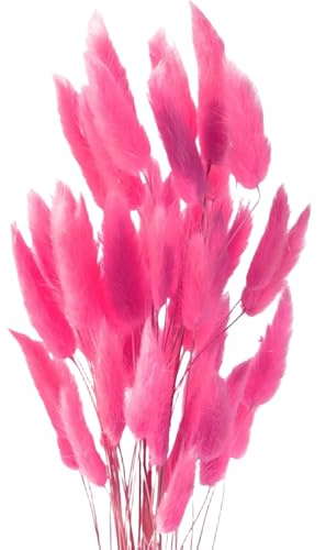 MHDAMAI Torkat pampasgräs, kaninsvans gräs 60 stycken naturliga torkade blommor, bukett, dekoration, konstgjorda stora torkade blommor, pampasgräs för inredning, fotografering, bröllop, rosa