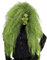 W WIDMANN MILANO Party Fashion 02083 - Perücke Hexe, grün, Motto-Party, Karneval, Halloween