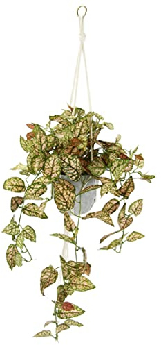 Künstliche Philo-Hängeampel mit Topf Kunstpflanze Ranke Girlande Grünpflanze Deko Pflanzenampel Grünpflanze Zimmerpflanze Kletterpflanze Efeuranke Efeu Blumenampel Topfpflanze Kunstblume, Fittonia
