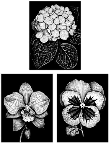 Artery8 Set of 3 Elegant Single Hydrangea Orchid Pansy Flowers Floral Black White Striking Impact Artwork Unframed Wall Art Living Room Poster Prints Pack