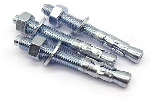 FUNSUEI Lot de 30 chevilles d'ancrage galvanisées pour charges lourdes M10 x 110 mm - Pour rampes, fixation de panneaux, constructions en bois sur béton