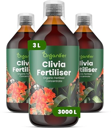 Organiskt flytande gödsel 3x1L för clivia – stimulerar knoppar och vitalitet - Organifer