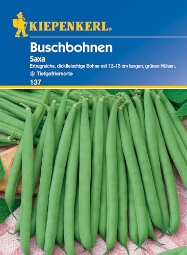 Kiepenkerl Buschbohnensamen Saxa 137 - Ertragreiche, dickfleischige Bohne mit 12-13 cm langen, grünen Hülsen - Samen Gemüse, Gemüsesamen, Saatgut