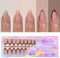GZMAYUEN Press on Nails French Medium Almond, Nude Braun Mandel Tips für Nägel Soft Gel Full Cover Nägel zum Aufkleben Fingernägel Fake Nägel Tips 150 Stück 15 Größe