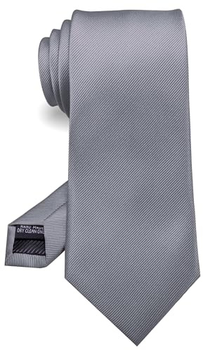 RBOCOTT Silk Grey Tie Business Wedding Formal Necktie for Men (Grey)