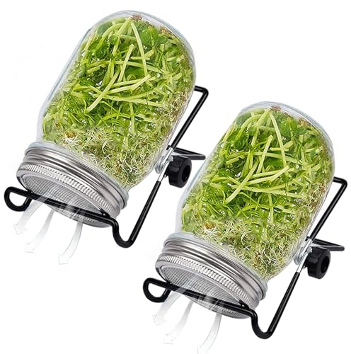 Barattolo per germogliare 2 set Germogliatore di semi a bocca larga con coperchio in rete Kit da 16 once Supporto regolabile 4, 92 pollici trasparente per fagioli Broccoli - Kit per la coltivazione