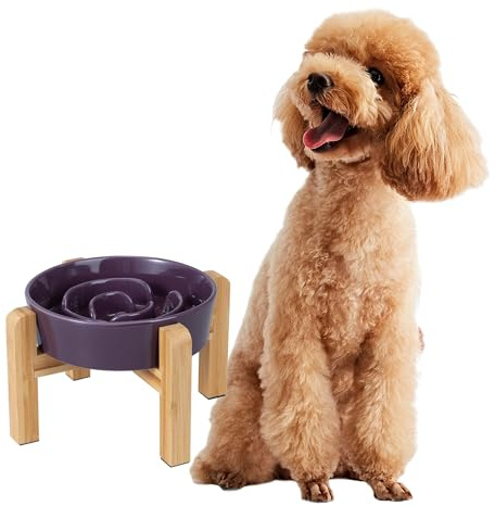 Gamelle Anti-Glouton Surélevée pour Chien - Bol en Céramique avec Support en Bambou - Idéale pour Chiens de Petite et Moyenne Taille - Violet - 17 cm