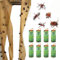 TUTINGKE Fly Paper Trap for Catching Bugs Insects Fruit Flies Moths, Sticky Hanging Flies Trape Catcher Ribbon, Fruit Fly Gnat Trap for House, Garden, Bullpen, Stable,Pasture - Eco-Friendly (8)