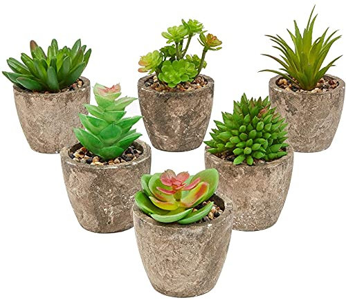Juvale Lot de 6 Plantes succulentes artificielles – Plantes de Cactus avec Pots Gris – 10,2 cm