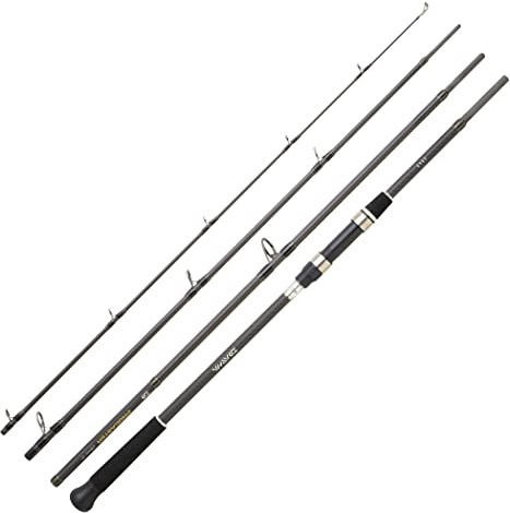Daiwa Canne PROCASTER Game 244 H