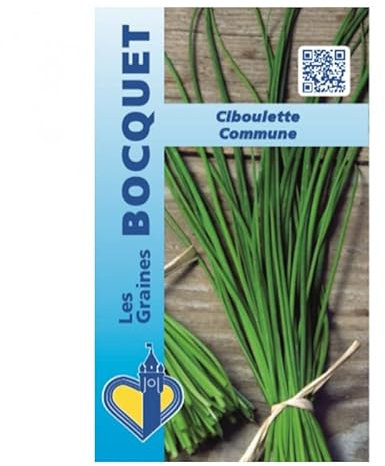 Sachet de graines de Ciboulette Commune (civette) - 1 g - légume tige - LES GRAINES BOCQUET