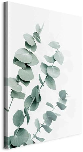 murando - Akustikbild Eukalyptus Bilder Hochleistungsschallabsorber Schallschutz Leinwand Akustikdämmung 1 tlg Wandbild Raumakustik Schalldämmung Blätter Natur Pflanze b-C-10306-b-a