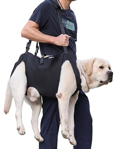CiCixixi Imbracatura di Sollevamento/Trasporto per Cani,Cinghie di Sostegno e Di riabilitazione Dell'imbracatura per Animali Domestici per Anziani,Iesioni Articolari,Artrite, Disabili(M)