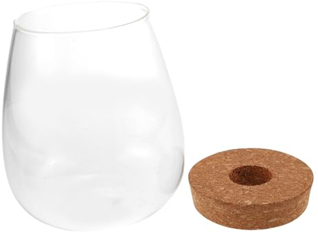 Hemobllo Botella Hidropónica de Transparente para DIY Contenedor de Plantas Compacto y Resistente para Decoración de Oficina