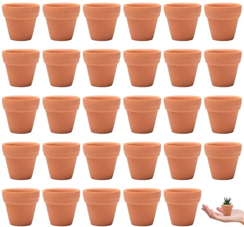Pilikoll 30Pièce 3.5x3cm Petite Terre Cuite Pots avec Trou de Drainage Mini Pot de Fleur en Céramique Pot de Fleur Terre Cuite Pots de Fleurs pour Cactus Intérieur Extérieur Plantes Maison Succulentes
