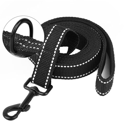 Longe pour Chien - Longe 3M 10M 20M 30M Laisse pour Chien, Laisse de Dressage avec Poignée pour Chiens, Refléchissant (3M)