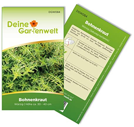 Bohnenkraut Samen - Satureja hortensis - Bohnenkrautsamen - Kräutersamen - Saatgut für 200 Pflanzen