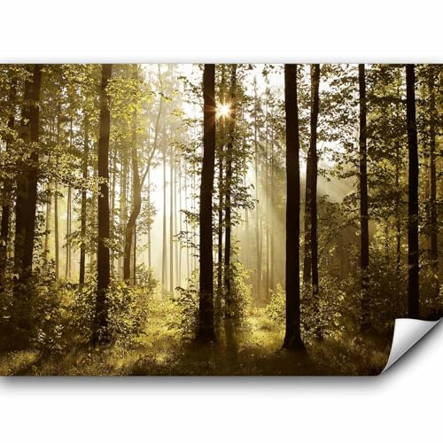 murando Fototapete Premium-Vlies Wald 350x256cm Foto Tapete Schlafzimmer Vliestapete XXL Wandtapete Motivtapeten Bildtapete 3d Effekt Wand Dekoration Flur Landschaft Natur Wald Bäume