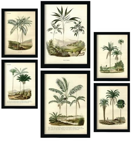Nacnic Set de 6 Palmeras Posters. En Impresiones vintage. Estampados decorativos estéticos para su sala de estar, dormitorio, hogar Tamaños A4 y A3