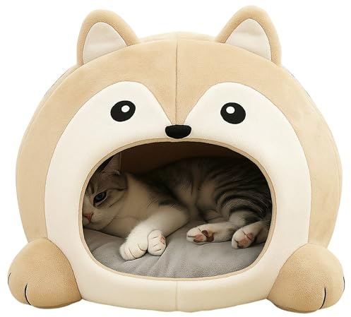 TATZIO Cuccia per gatti beige – con cuscino, lavabile e isolato, cuccia per gatti antiscivolo e posto letto per gatti e cani di piccola taglia, soffice, facile da pulire, morbida