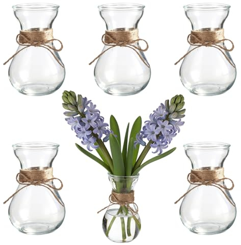 6 Pcs Small Glass Vases for Centerpieces, Clear Bulb Vases for Flowers, Hyacinth Growing Bud Containers with Pre-Tied Jute String for Home, Wedding, Party Tabletop Decor