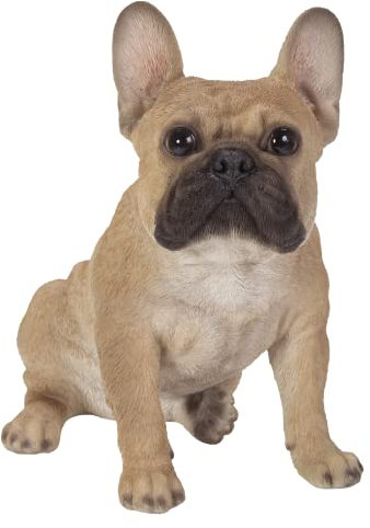 Vivid Arts Sitzende französische goldene Bulldogge