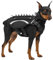OneTigris STEGOSAUR Taktische Hundegeschirr mit Nieten, Schützendes Hundegeschirr mit Abnehmbarem Halsband, Dog Harness with Spike für Kleine/Mittelgroße Hunde Outdoor (S)