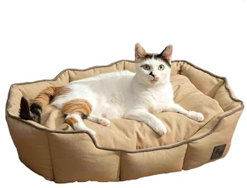 ENGLISH HOME Katzenbett, Katzenbetten für Innenkatzen, Abnehmbarer Bezug, maschinenwaschbares Hundebett, gefülltes Kissen, Haustierbett für Hunde und Katzen 40x60x17 cm, Beige