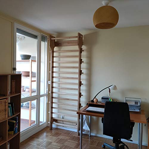 ARTIMEX Espalier en chêne, modèle Vintage, pour la physiothérapie et la Gymnastique - utilisée dans Les Maisons, gymnases, cliniques, écoles ou centres de Remise en Forme - 240x90 cm, Code 279-R