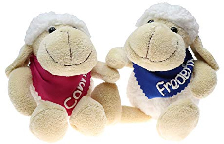 Kuscheltier Schaf 20cm mit Namen am Halstuch- Personalisiertes Kuscheltier - Personalisiertes Kindergeburtstagsgeschenk - Stofftier mit Wunschbeschriftung für Mädchen und Jungen Schäfchen