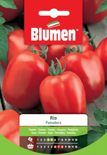 SEMI DI POMODORO RIO NANO BLUMEN