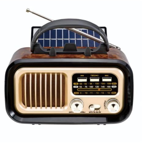 Radio Rétro Vintage Bluetooth, Petit Transistor AM FM, Radio à Piles ou à énergie Solaire, Radio Rechargeable, TWS, Prise en Charge de la Lecture de Cartes TF/USB (Black)