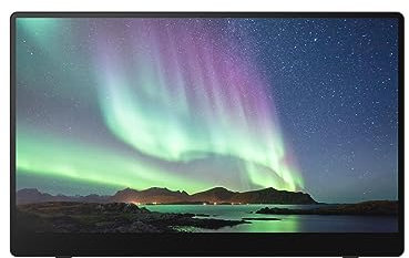 RICOH 150BW mobiler,kabelloser Bildschirm 16 Zoll,1920 x 1080P, OLED-Monitor,USB-C, leichtgewichtiger Touchscreen-Monitor mit zwei integrierten Lausprechern. Für die Anwendung mit Laptop/PC/Smartphone