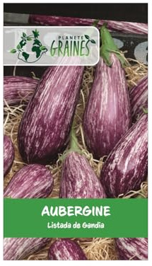 100 graines d'aubergine listada de gandia, variété ancienne striée violet et blanc savoureuse