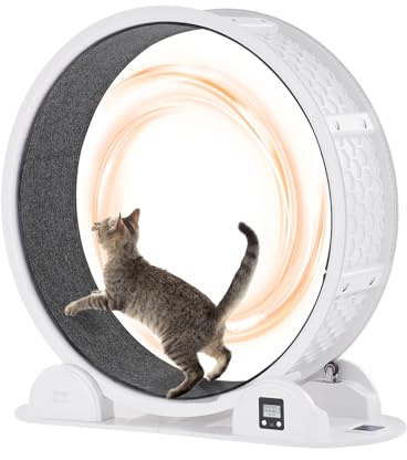 VEVOR Laufrad für Katzen, 115x39,5x109cm, Laufrad für Katzen mit Bremse & Laufbahn aus Teppich, Katzenlaufband für Hauskatzen unter 13,6 kg, Katzentrainer für die Gesundheit & Fitness von Haustieren