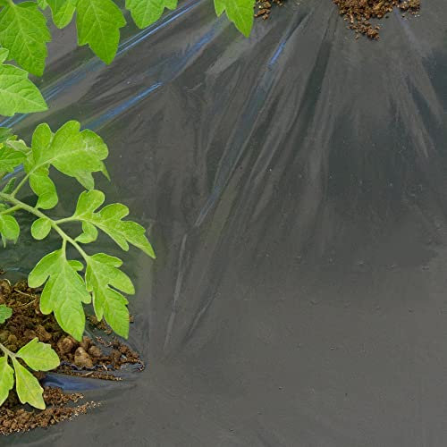 TENAX Film de Paillage Dot Cover 1,50x10 m Noir, Film Micro Perforé Perméable Anti-Mauvaises Herbes pour Paillage, Idéal pour Potager, pour Légumes et Fraises
