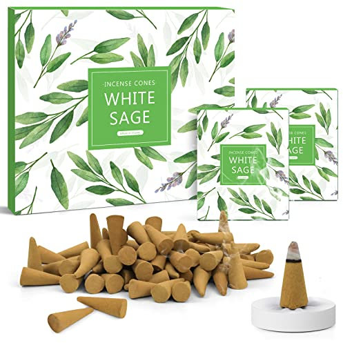 SCENTORINI Räucherkegel Weißer Salbei Düft 120st, Mit Räucherstäbchenhalter, Ldeal für saubere Luft in Innenräumen, Entspannung, Yoga, Meditation