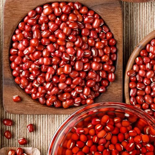 semillas orgánicas de frijol azuki de interior exóticas de frijol rojo de variedades antiguas de jardín perennes resistentes 125pcs
