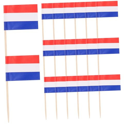LOPUNER 100 Stück Nationalflaggen Zahnstocher für Cupcakes und Desserts mit Verschiedenen Länderflaggen für Partys und Feiern Deko für Snacks und Buffets